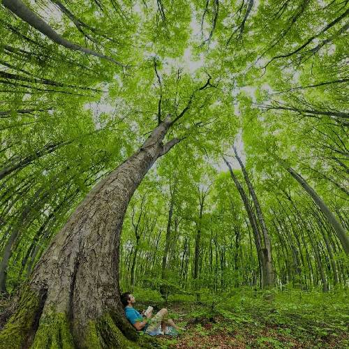  نبوغه هست ولی بلوغ ندارن حد رو نفهمیدن حدود ندارن قله رو